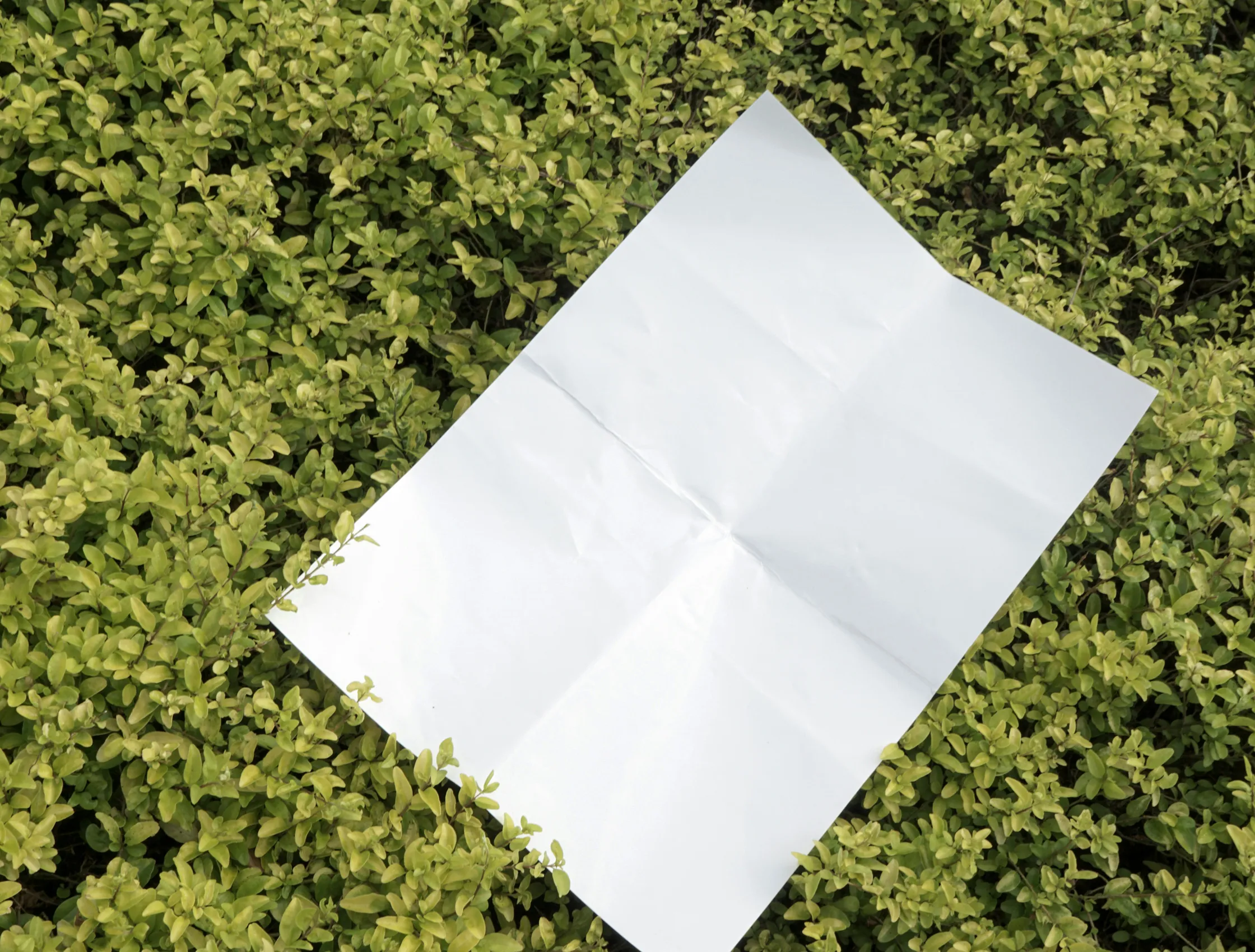 Spring campaign art direction and photography briefing